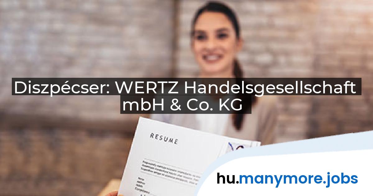 Diszpécser: WERTZ Handelsgesellschaft mbH & Co. KG | manymore.jobs